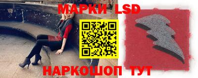 стафф Будённовск