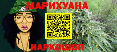 стафф Будённовск