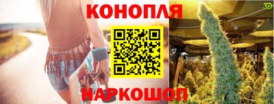 стафф Будённовск