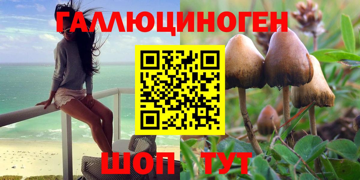 Галлюциногенные грибы Cubensis  Галлюциногенные грибы Psilocybine cubensis  Старый Оскол  Вход с VPN 
